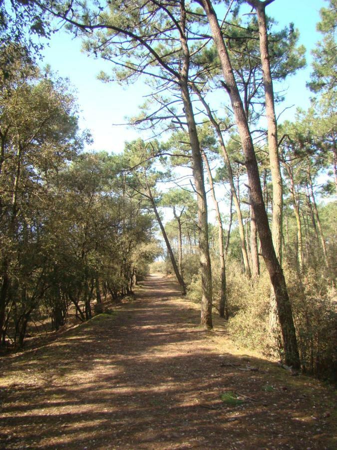 Ile Au Pre Vue Lac Et Golf Talmont-Saint-Hilaire Zewnętrze zdjęcie
