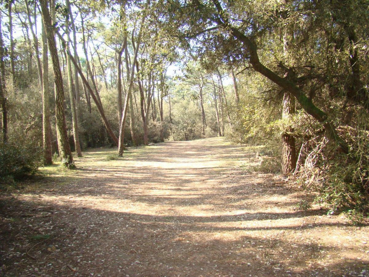 Ile Au Pre Vue Lac Et Golf Talmont-Saint-Hilaire Zewnętrze zdjęcie